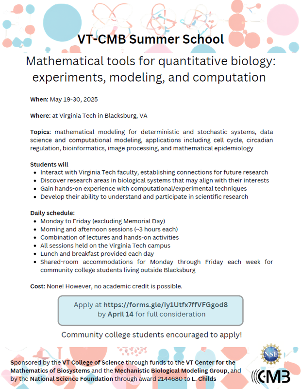 Summer School Flyer