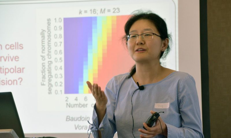 CMB research